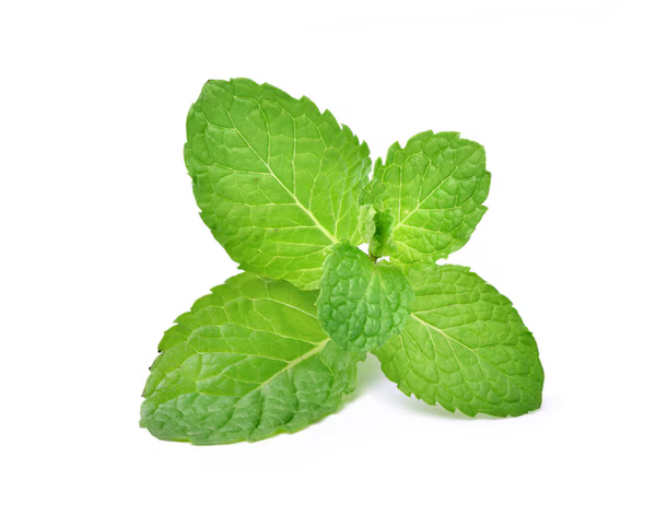 Mint Extract