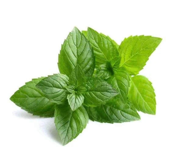 Peppermint Oil