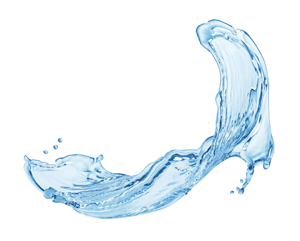 Purified Water